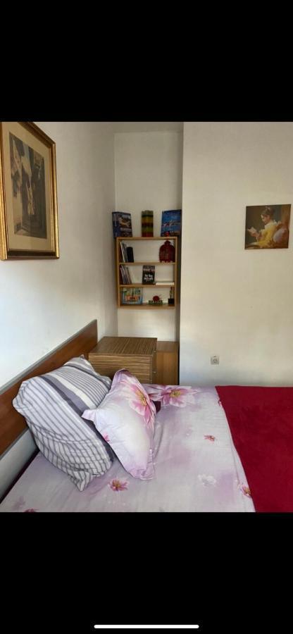 Central Apartment Sofia Esterno foto